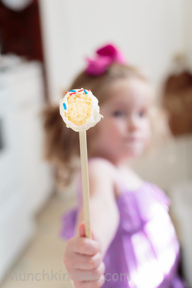 Vanilla Cake Pop Recipe
 Easy Vanilla Cake Pops Recipe for Babycakes Cake Pops Maker