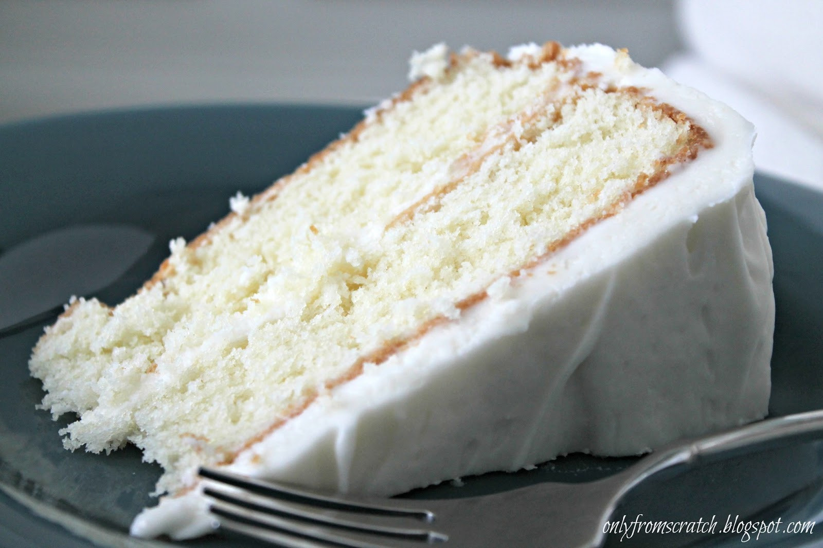 Vanilla Cake Recipes
 ly From Scratch Simple Layer Cake with Vanilla Frosting