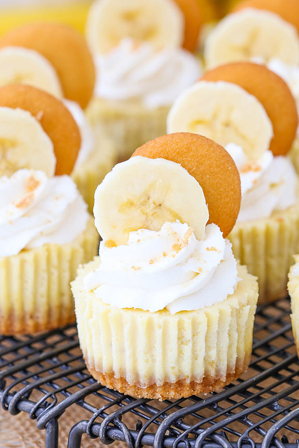 Vanilla Wafer Dessert
 Mini Banana Pudding Cheesecakes Life Love and Sugar