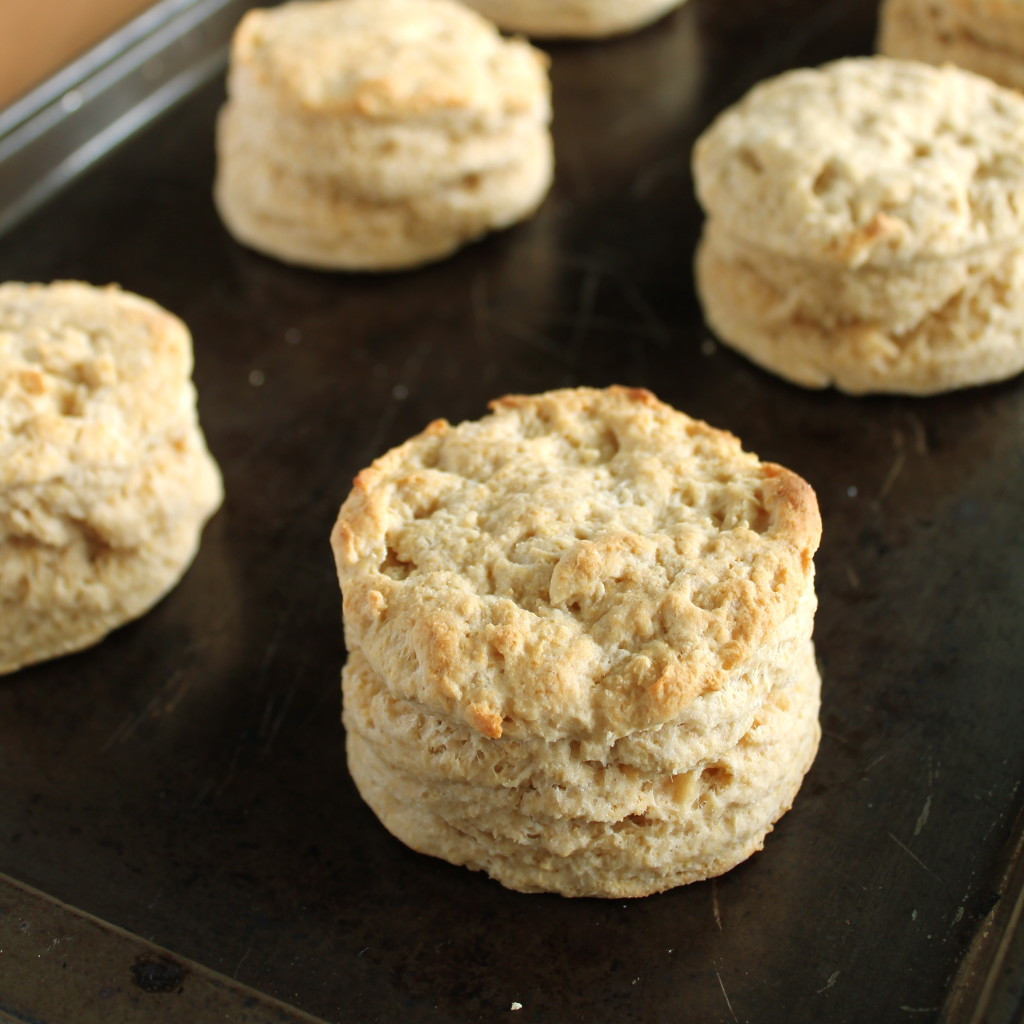 Vegan Biscuit Recipe
 Fluffy Biscuits Vegan Style Vegan Yumminess