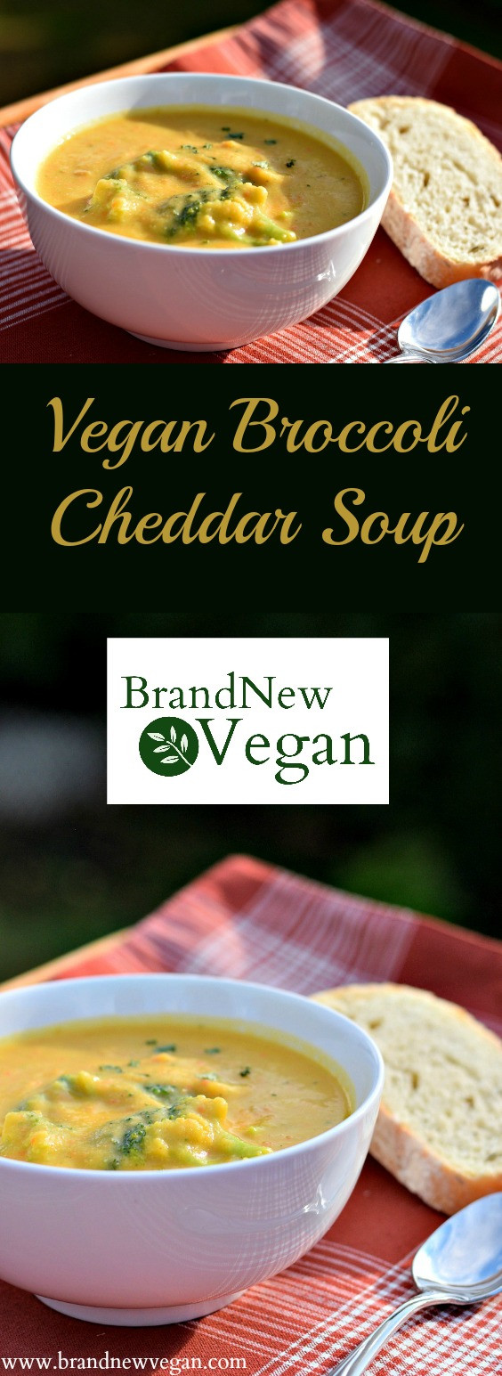 Vegan Broccoli Cheddar Soup
 Vegan Broccoli Cheddar Soup Brand New Vegan