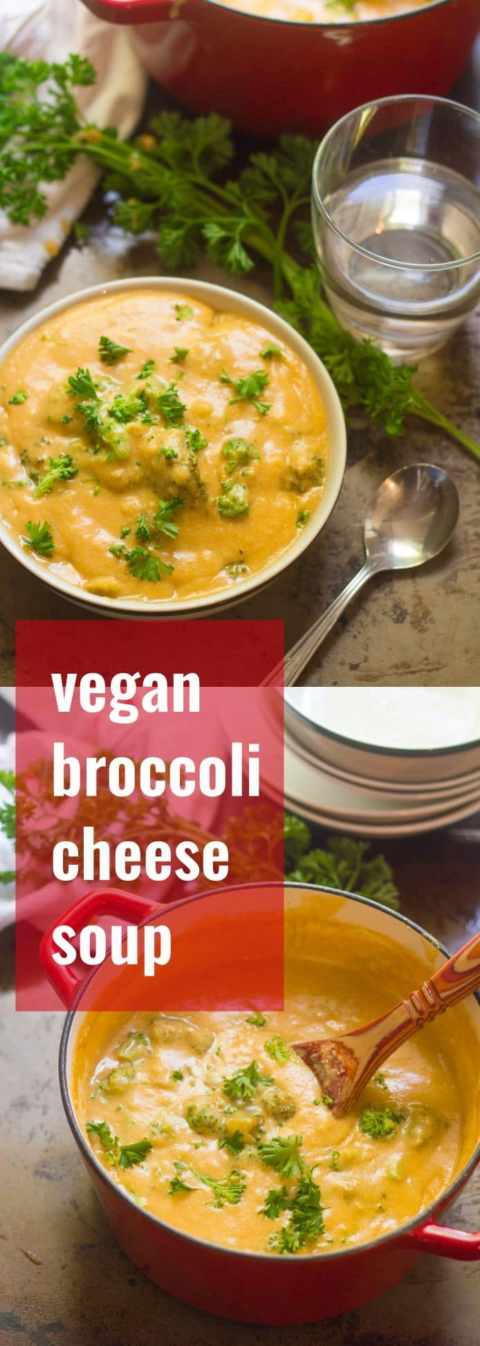 Vegan Broccoli Cheddar Soup
 Vegan Broccoli Cheese Soup Connoisseurus Veg