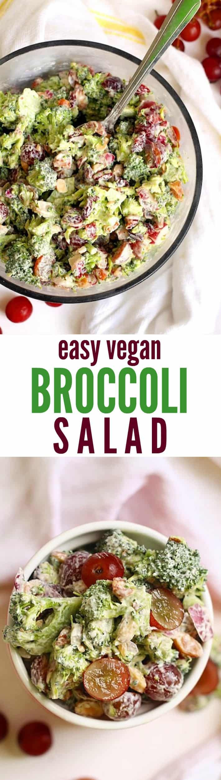 Vegan Broccoli Recipes
 vegan broccoli salad with raisins