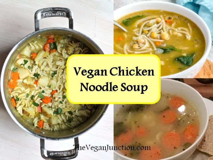 Vegan Chicken Noodle Soup
 3 Recipes for Vegan Chicken Noodle Soup – The Vegan Junction