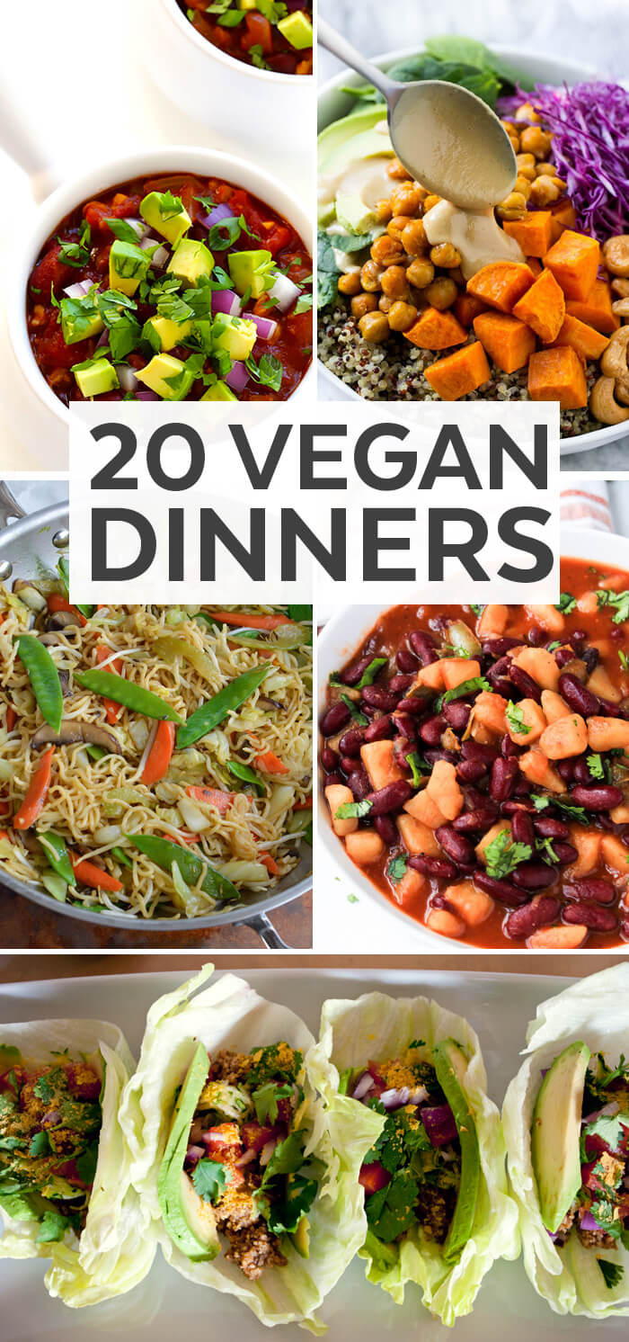 Vegan Dinner Recipes
 20 Vegan Dinner Ideas Plant Based Diet Recipe Ideas
