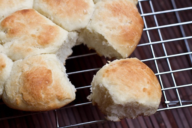 Vegan Dinner Roll
 Vegan Fluffy White Dinner Rolls — Oh She Glows