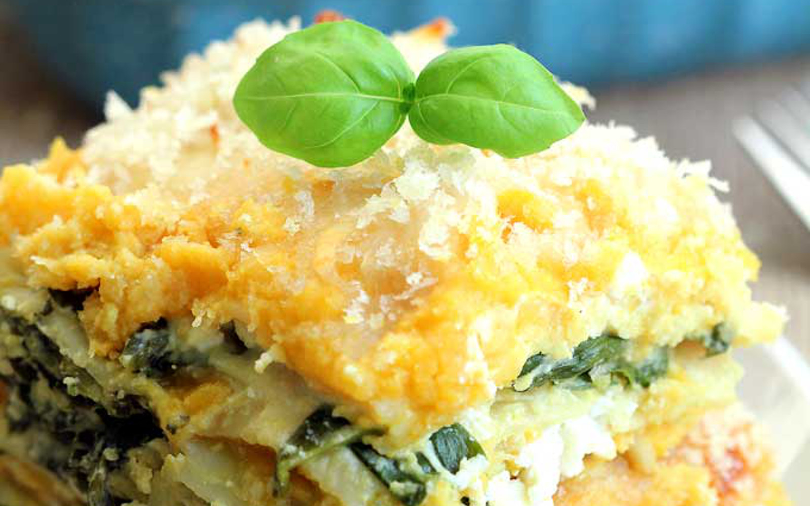 Vegan Squash Recipes
 Butternut Squash Lasagna [Vegan] e Green Planet e