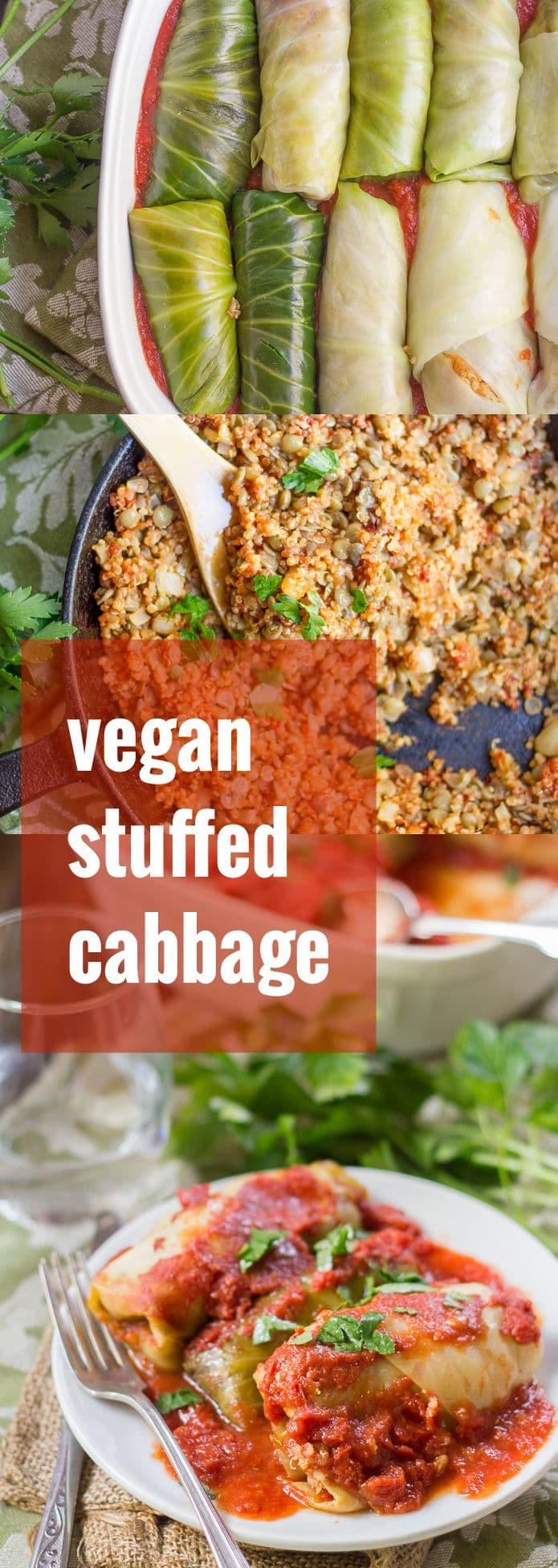 Vegan Stuffed Cabbage
 Quinoa & Lentil Stuffed Vegan Cabbage Rolls