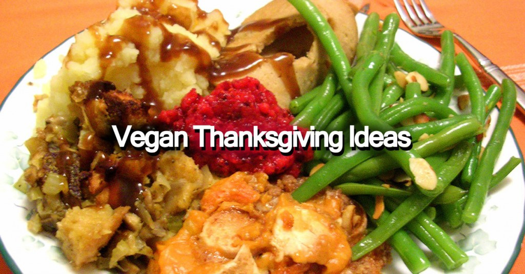 Vegan Thanksgiving Ideas
 Vegan Thanksgiving Ideas Save The Turkeys