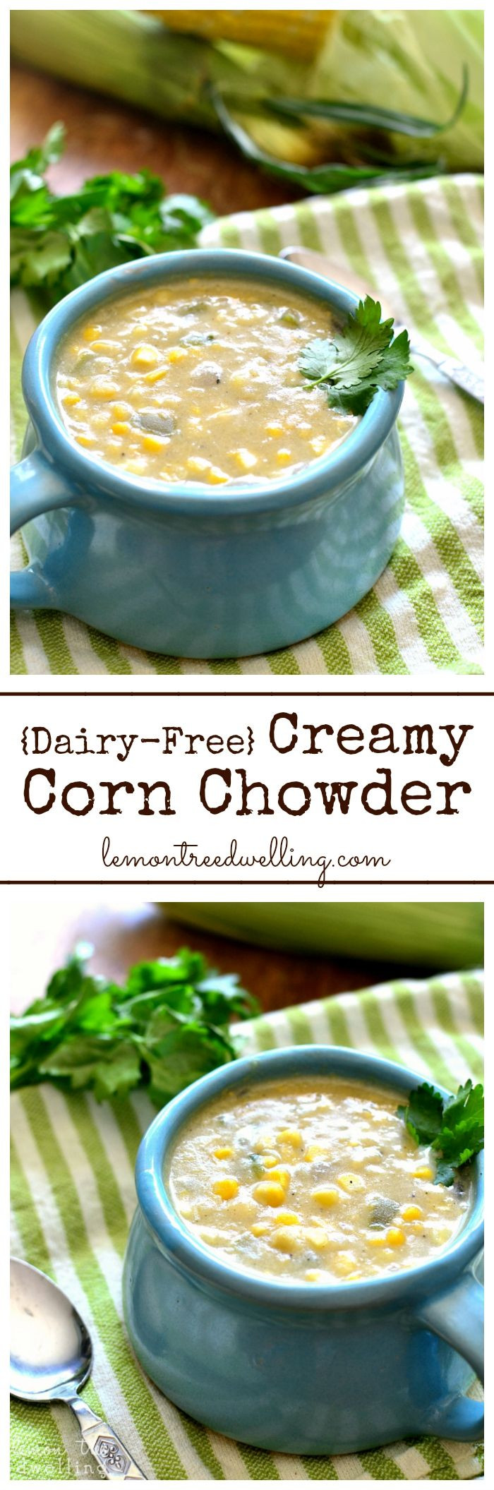 Vegetarian Corn Chowder
 Best 25 Vegan corn chowder ideas on Pinterest