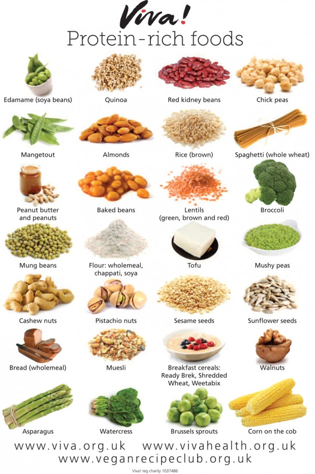 Vegetarian Foods High In Protein
 VEGAN PROTEIN RICH FOODS — Forking Fit