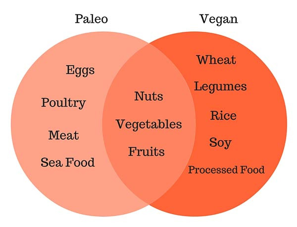 Vegetarian Paleo Diet
 Paleo vs Vegan – Die Vor und Nachteile – Balance pH