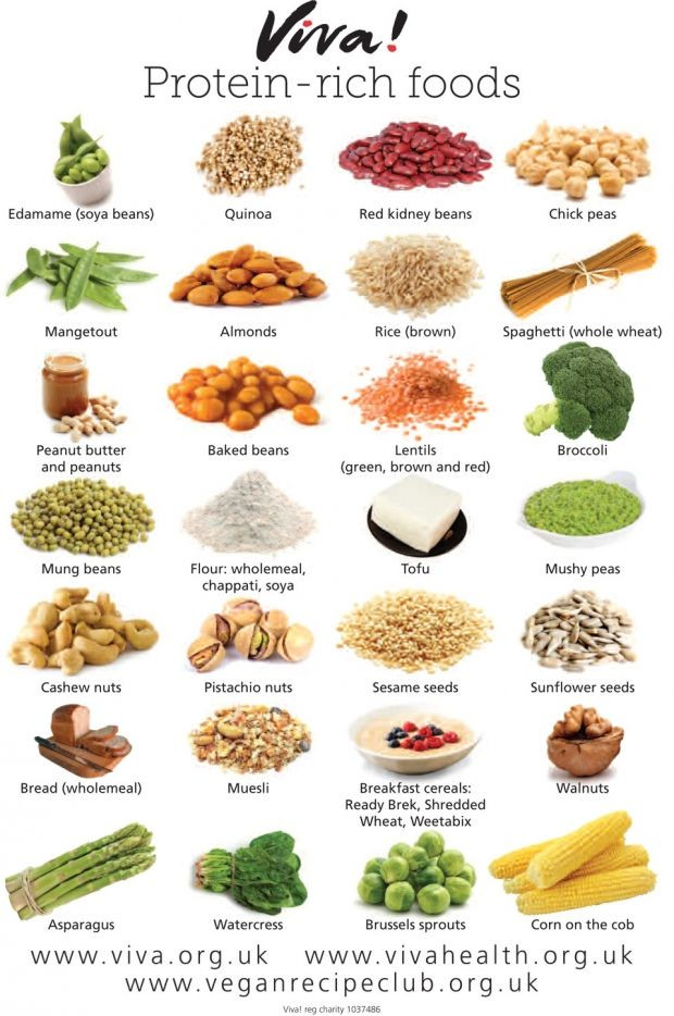 Vegetarian Protein Options
 Protein Rich Foods For Ve arians List