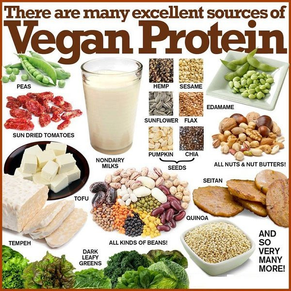 Vegetarian Protein Options
 Vegan Protein Foods You Should Be Eating More ten Fitneass