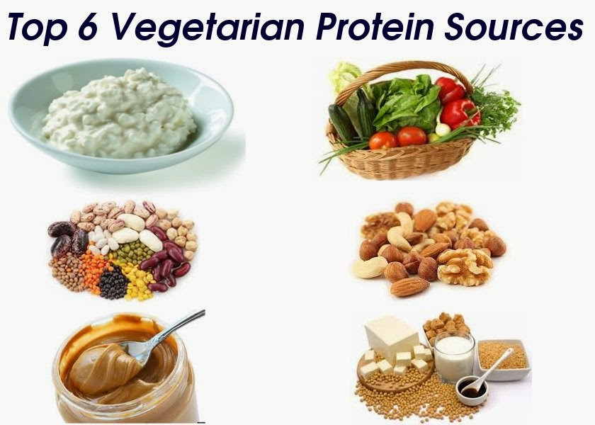 Vegetarian Protein Options
 Top 6 Protein Sources for Ve arians Stay Healthy