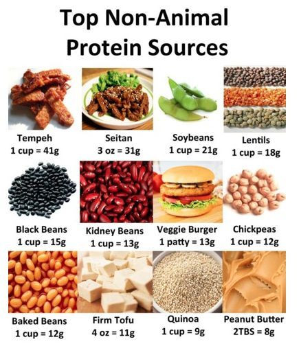 Vegetarian Protein Options
 Vegan Protein Options