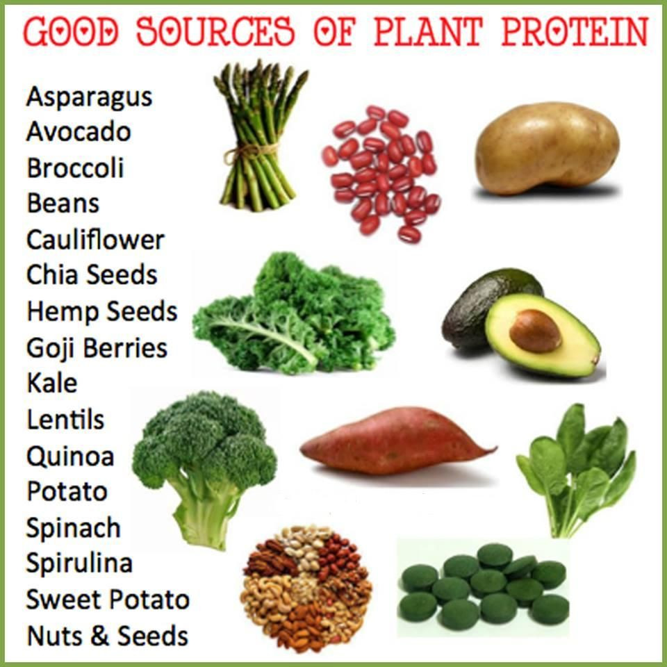 Vegetarian Protein Options
 Protein Foods for Ve arians Protein Foods It is