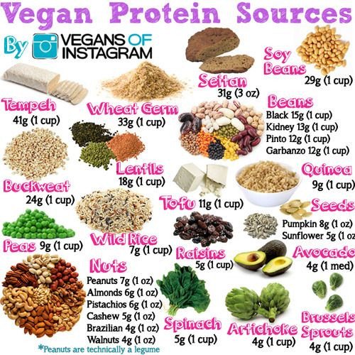 Vegetarian Protein Options
 Proteins are huge molecules made up of smaller molecules