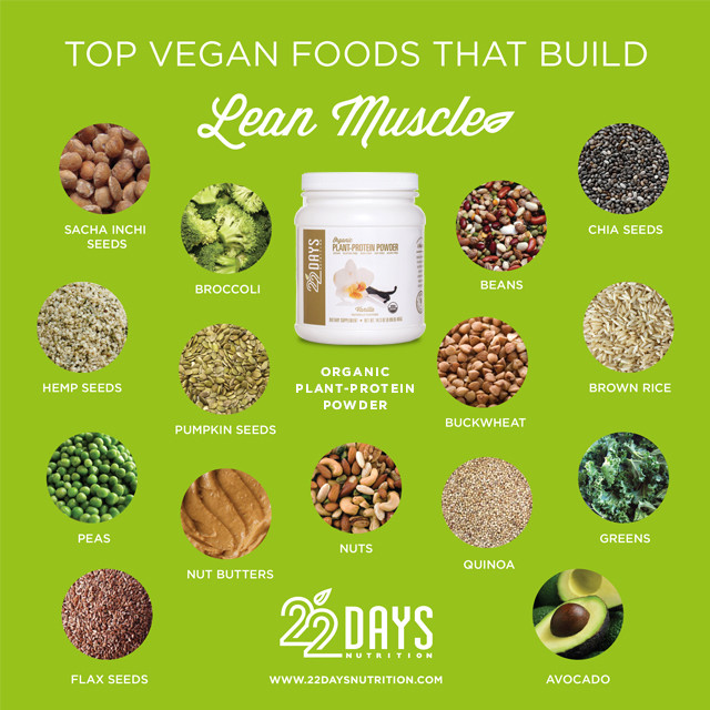 Vegetarian Protein Options
 Top Vegan Foods that Build Lean Muscle