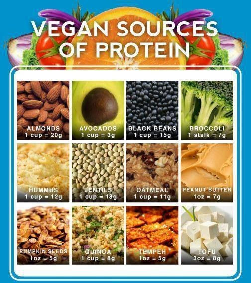 Vegetarian Protein Options
 Meat alternatives Vegan & Ve arian Foods