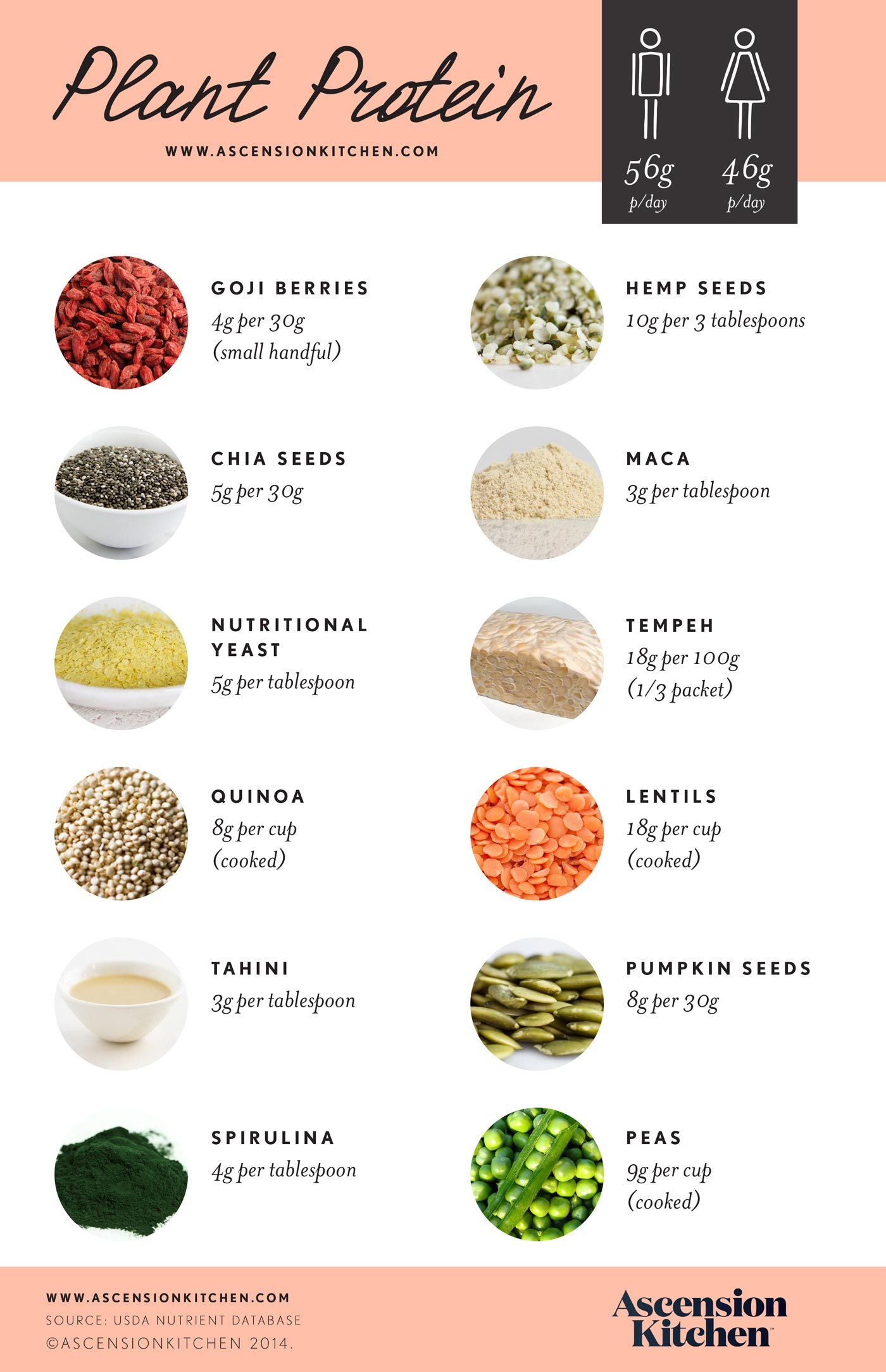 Vegetarian Protein Options
 Less meat more plant based protein may prolong your life