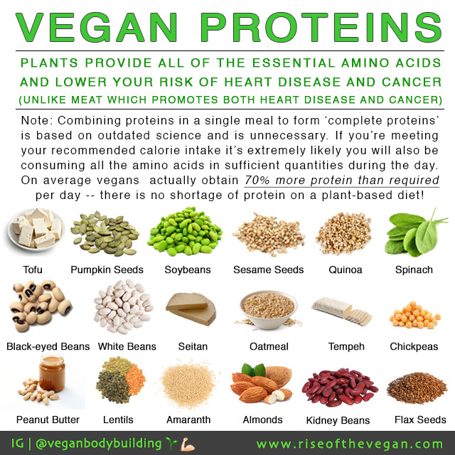 Vegetarian Protein Sources
 "But where do you your protein "