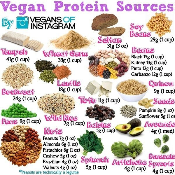 Vegetarian Protein Sources
 What Does a Vegan Eat for Protein Answers to your 7