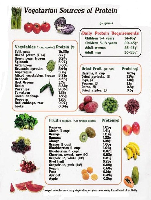 Vegetarian Protein Sources
 An Easy to Follow Ve arian Nutrition Guide