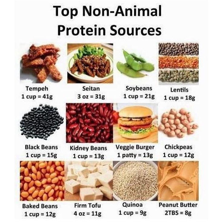Vegetarian Protein Sources
 Health Guru Tip of the Day You can find healthy protein