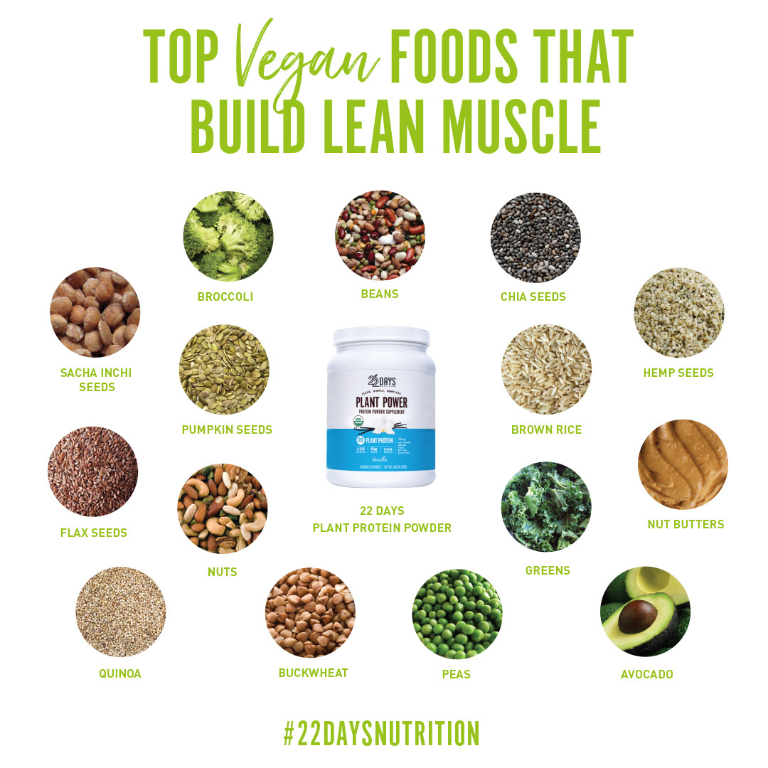 Vegetarian Protein Sources
 15 Vegan Sources of Protein Soy Free and Gluten Free Too