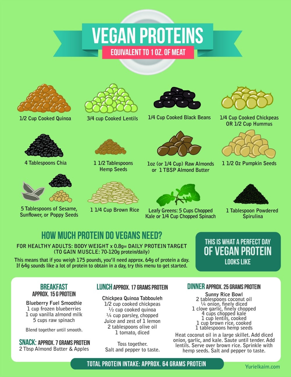 Vegetarian Protein Sources
 The Definitive Guide to the 12 Best Vegan Protein Sources