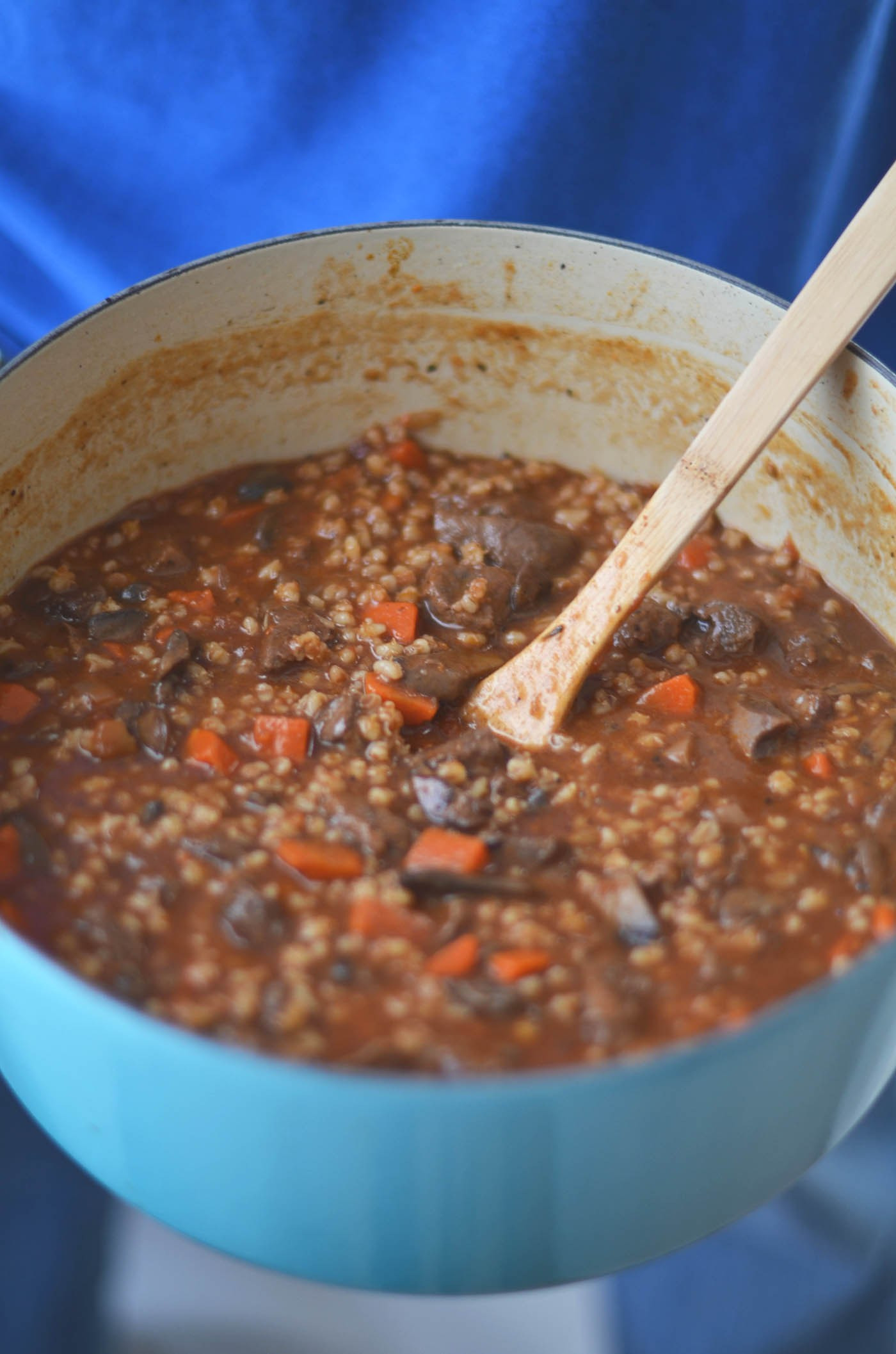 Venison Stew Recipe
 Venison Stew Recipe