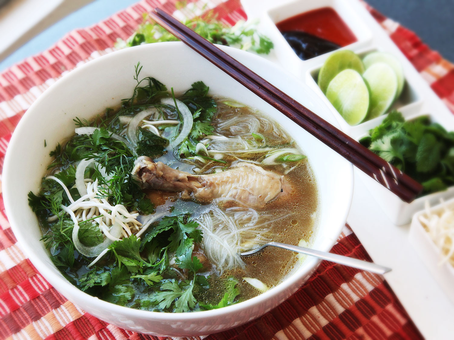 Vietnamese Chicken Soup
 30 Minute Pressure Cooker Pho Ga Vietnamese Chicken