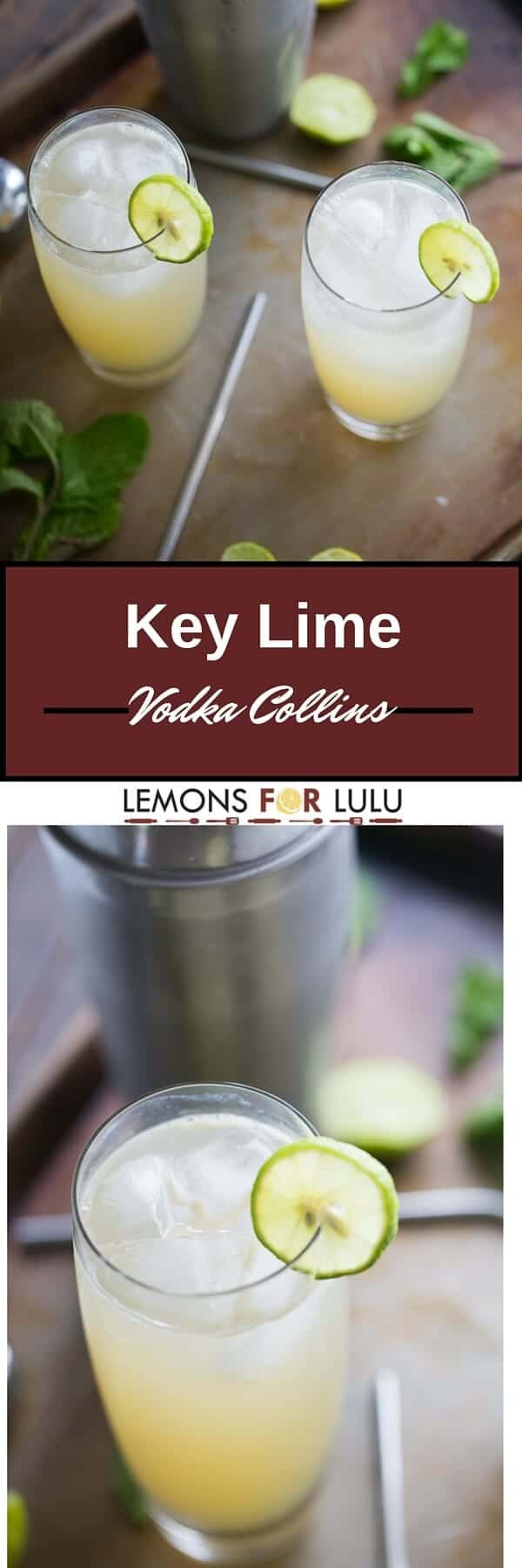 Vodka Collins Drinks
 Key Lime Vodka Collins LemonsforLulu