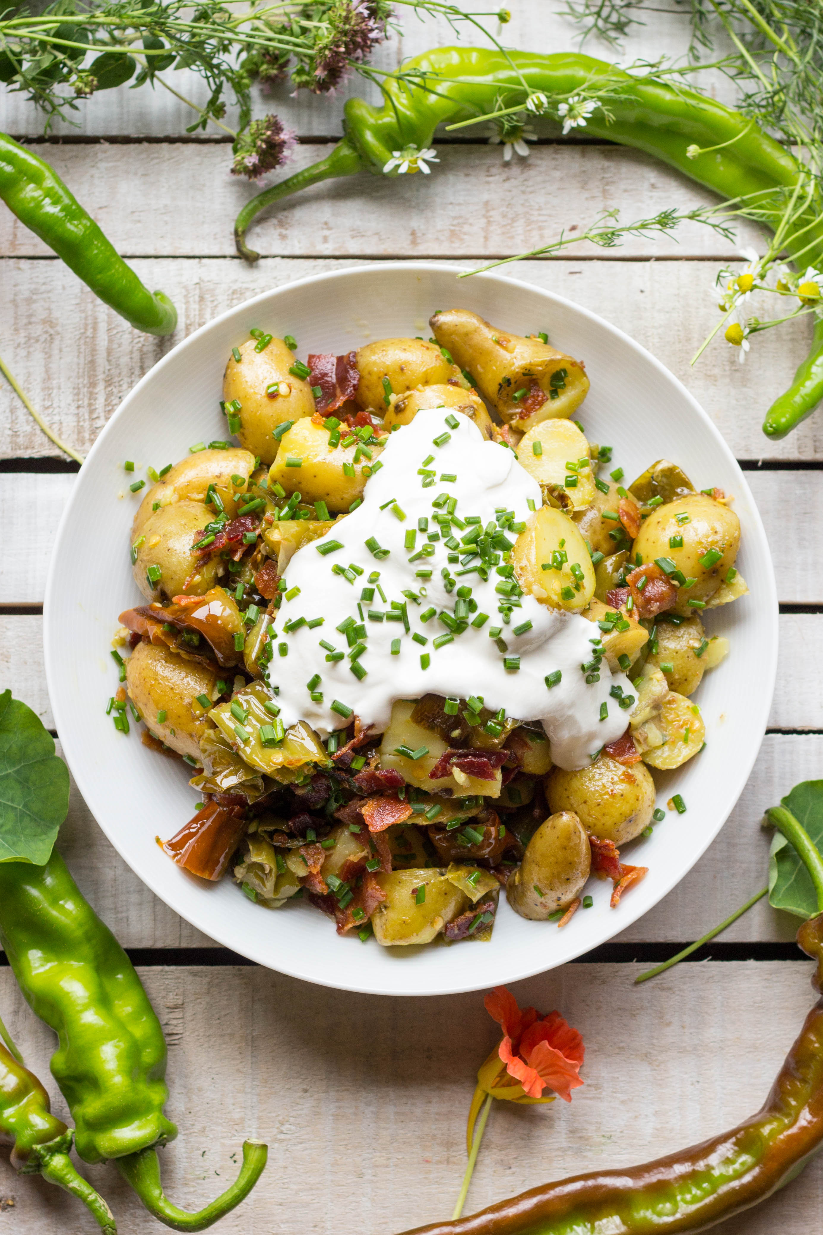 Warm Potato Salad
 Warm Potato Salad with Bacon Long Hots