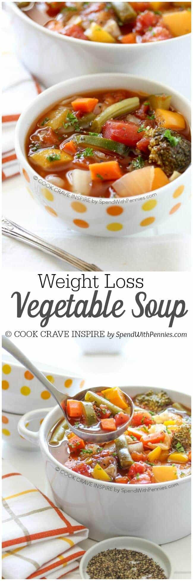Weight Loss Soup Recipes
 Weight Loss Ve able Soup Recipe Spend With Pennies