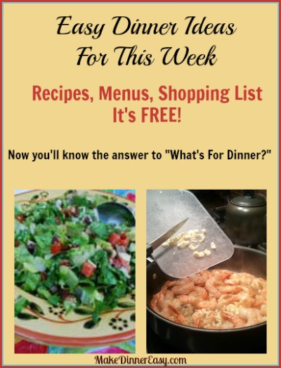 What Can I Make For Dinner Tonight
 Easy Family Dinner Ideas