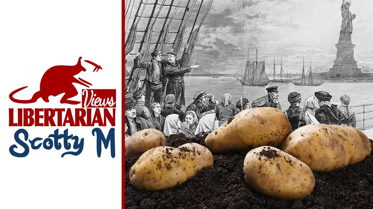 What Caused The Potato Famine
 Irish Potato Famine History of Irish Troubles—What Caused