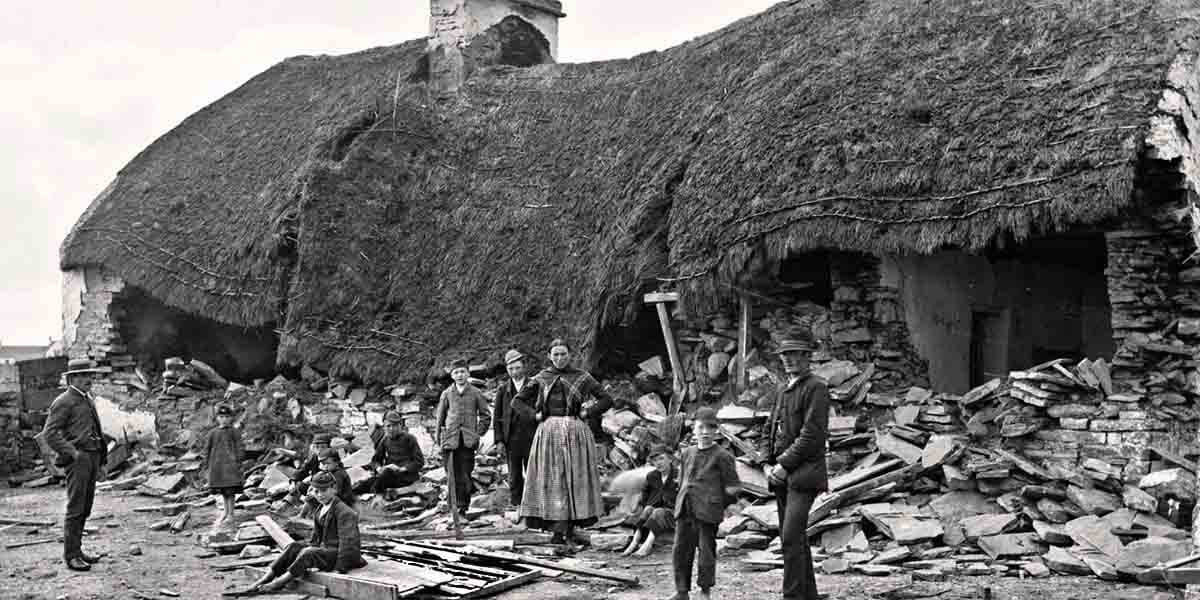 What Caused The Potato Famine
 Exhibition The Irish Potato Famine