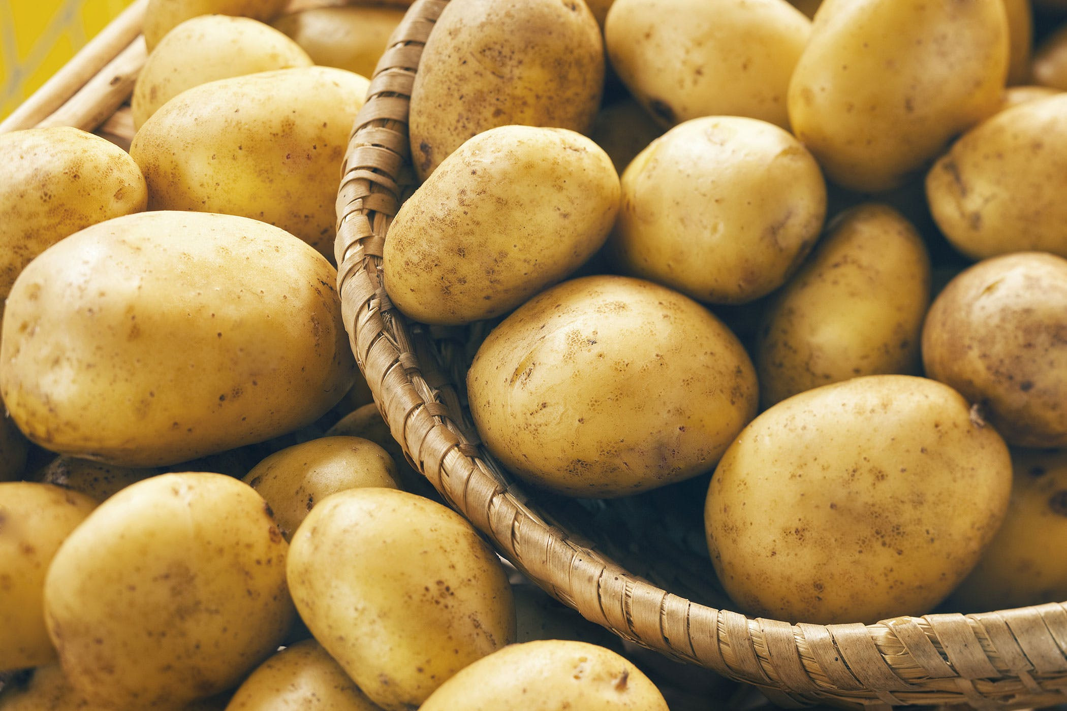 What Is A Potato
 Potato Green Poisoning in Dogs Symptoms Causes