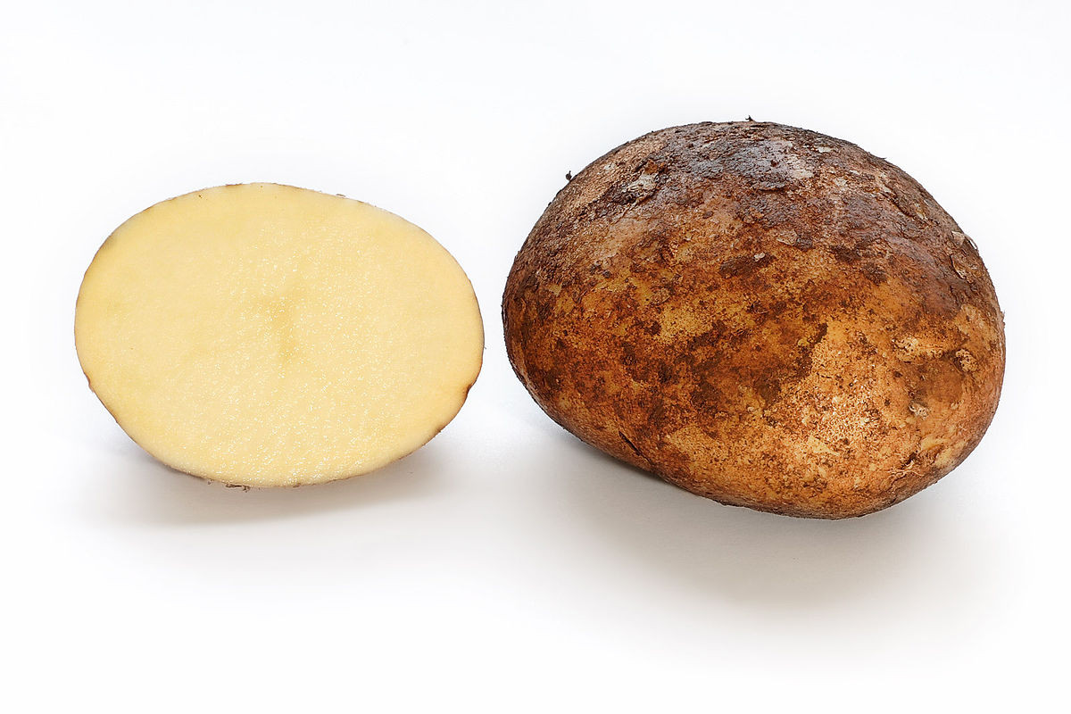 What Is A Potato
 Potato Simple English the free encyclopedia