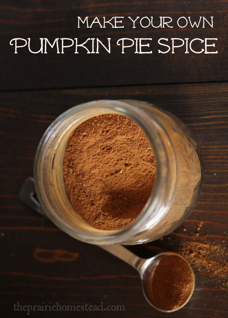 What Is In Pumpkin Pie Spice
 Pumpkin Pie Spice Recipe