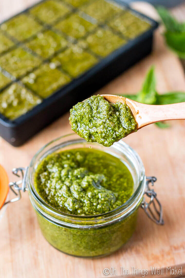 What Is Pesto Sauce
 How to Make Pesto Sauce & How to Store it Oh The Things