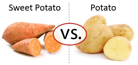 What'S The Difference Between A Yam And A Sweet Potato
 Potato Vs Sweet Potato Crunch Fitness