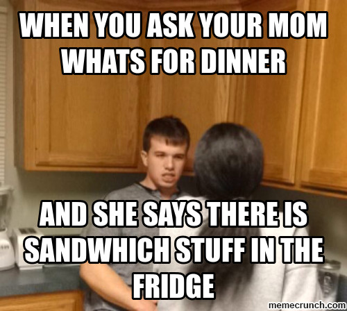 Whats For Dinner Meme
 when you ask your mom whats for dinner