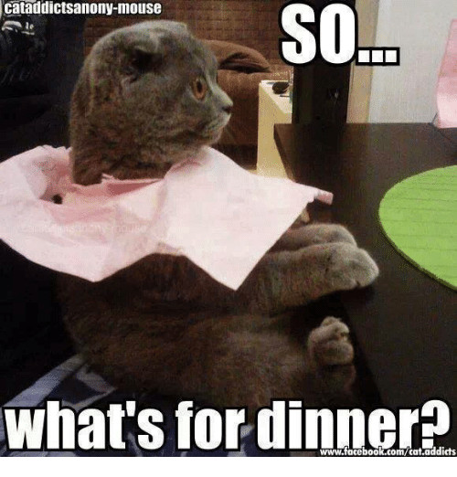 Whats For Dinner Meme
 Cataddictsanony Mouse SO SOL What s for Dinner