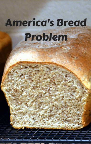 Wheat Bread Vs White Bread
 Dr Oz Whole Wheat VS White Bread Sprouted Grain Bread