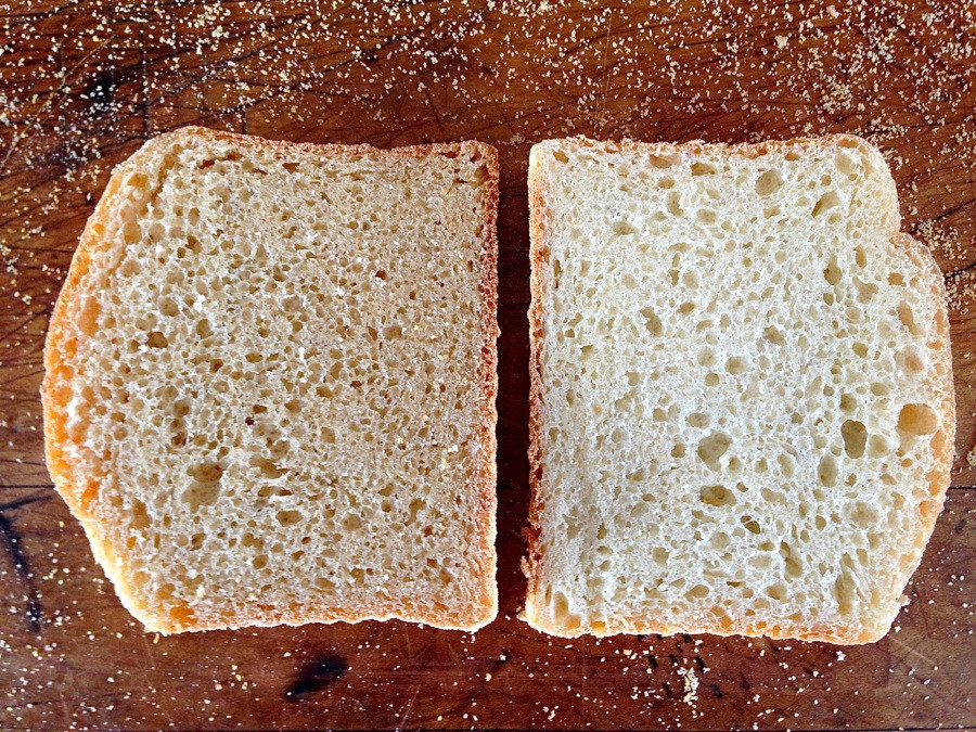 Wheat Bread Vs White Bread
 white bread vs wheat bread sugar