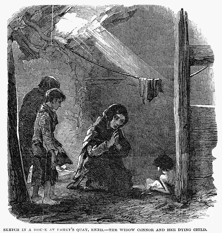 When Was The Irish Potato Famine
 Irish Potato Famine 1846 47 graph by Granger