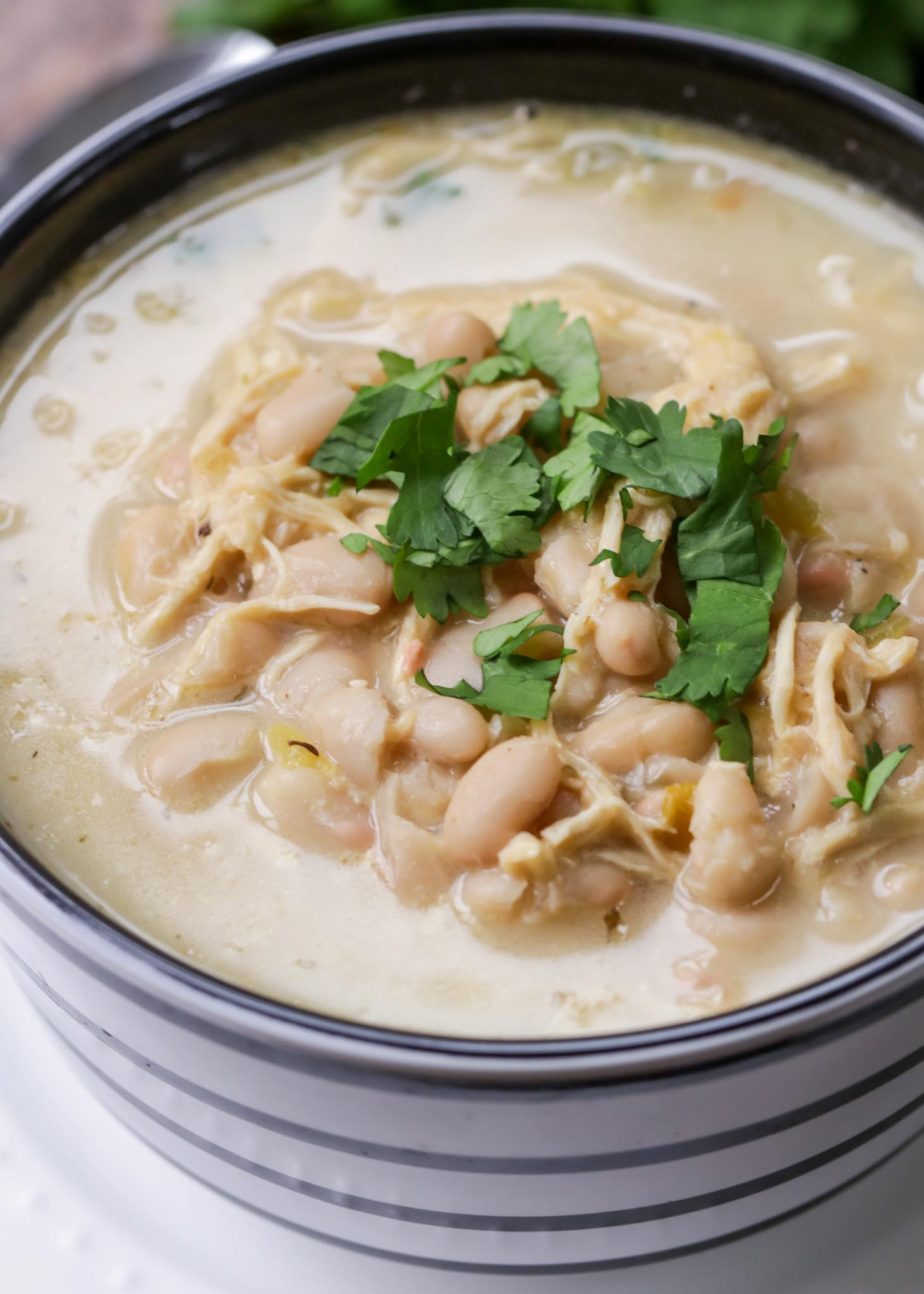 White Chicken Chili Recipes
 BEST White Chicken Chili Recipe